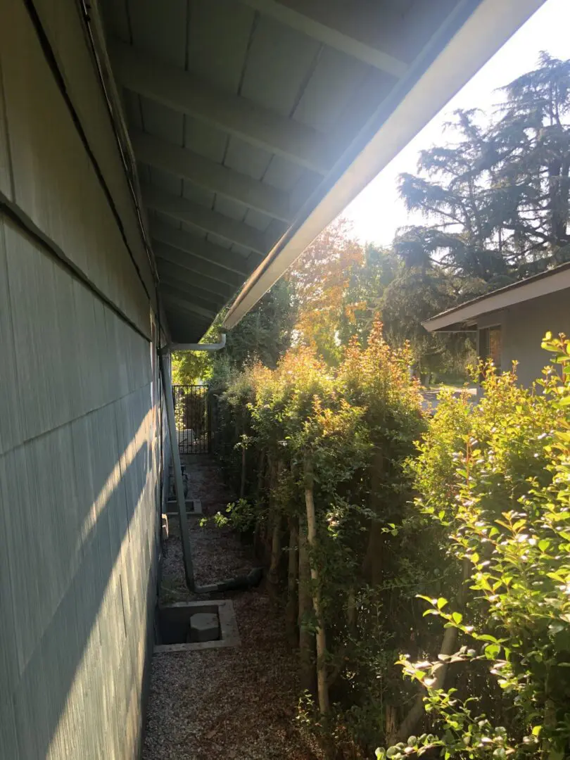 A view of the side of a house from outside.