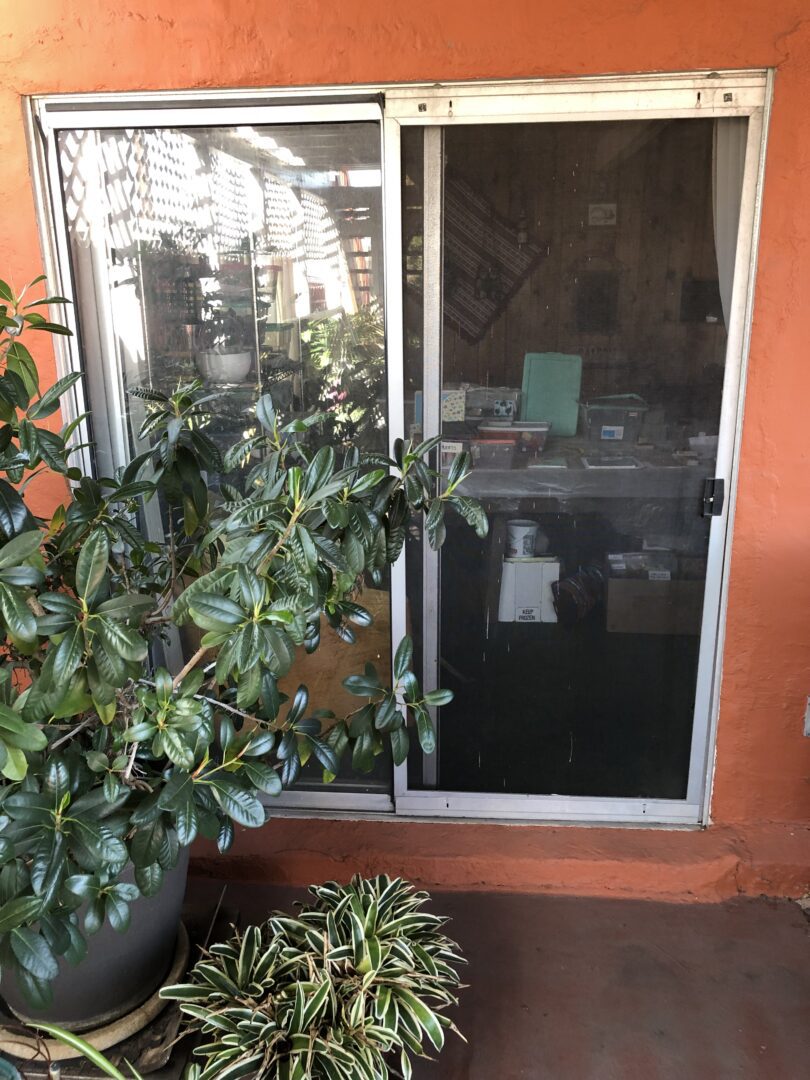 A potted plant sitting in front of an open door.