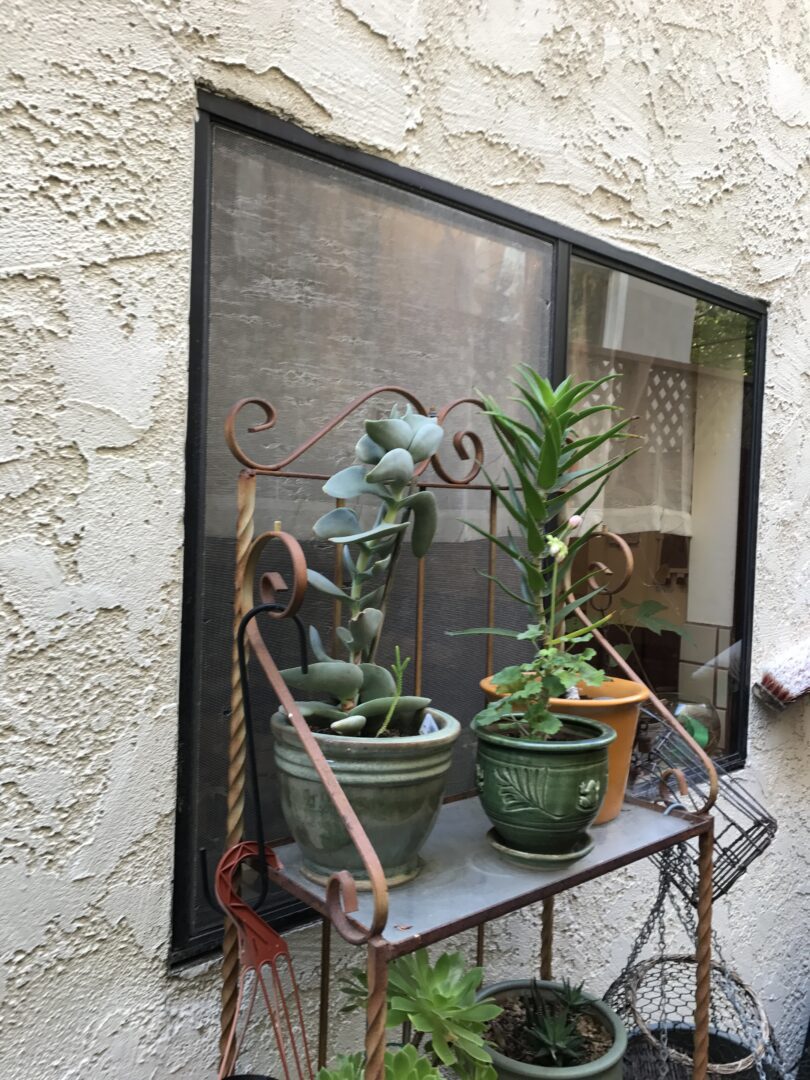 A table with plants and pots on it