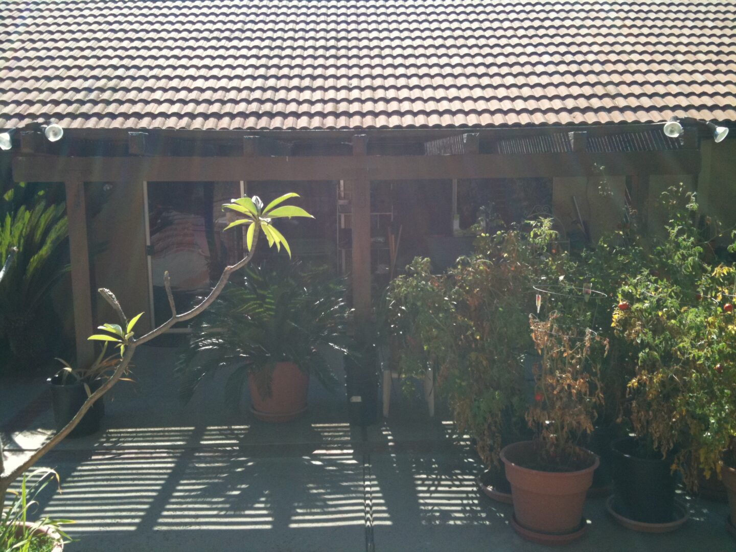 A patio with potted plants and a roof.