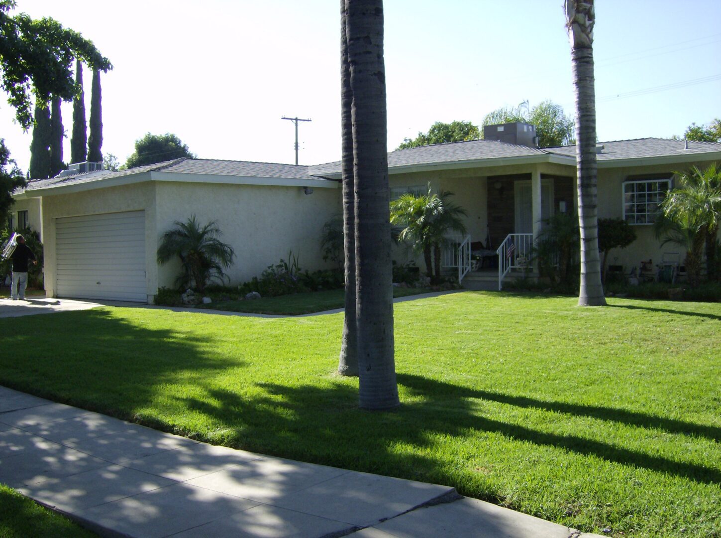 A house with palm trees and grass on the front lawn.