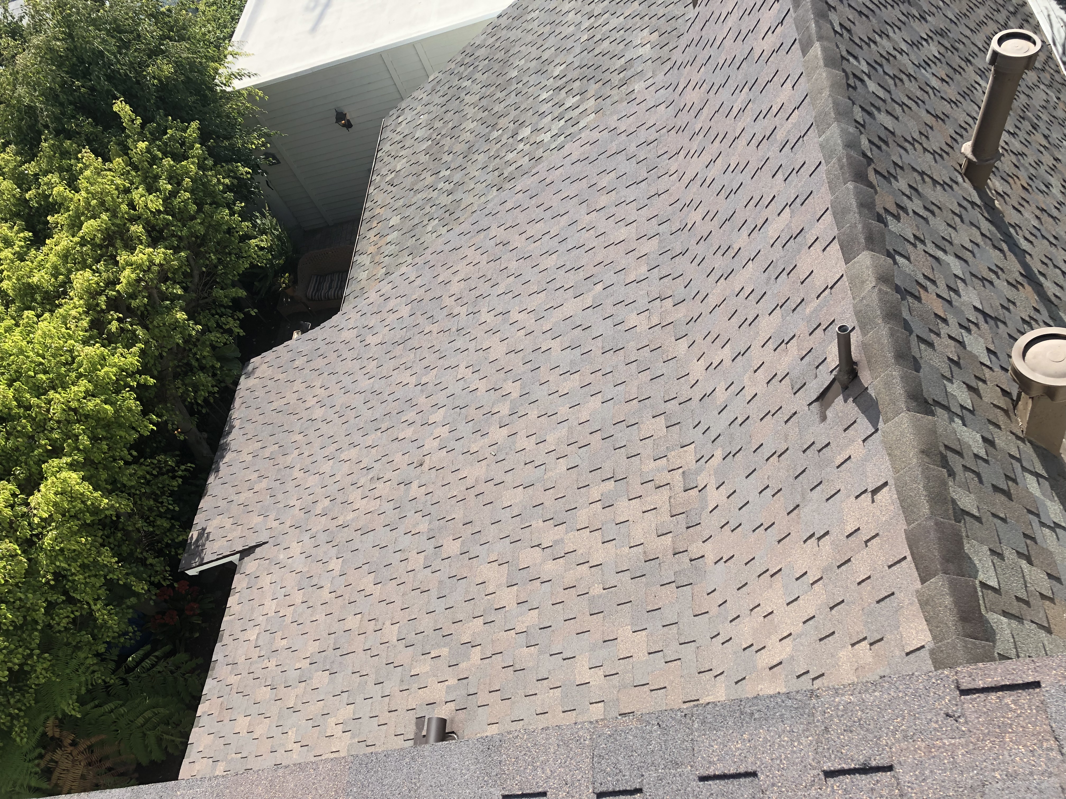 A bird sitting on top of the roof of a house.