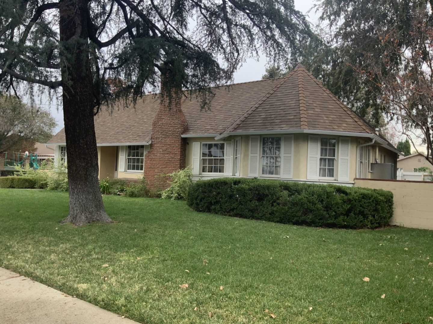 A house with a tree and bushes in front of it