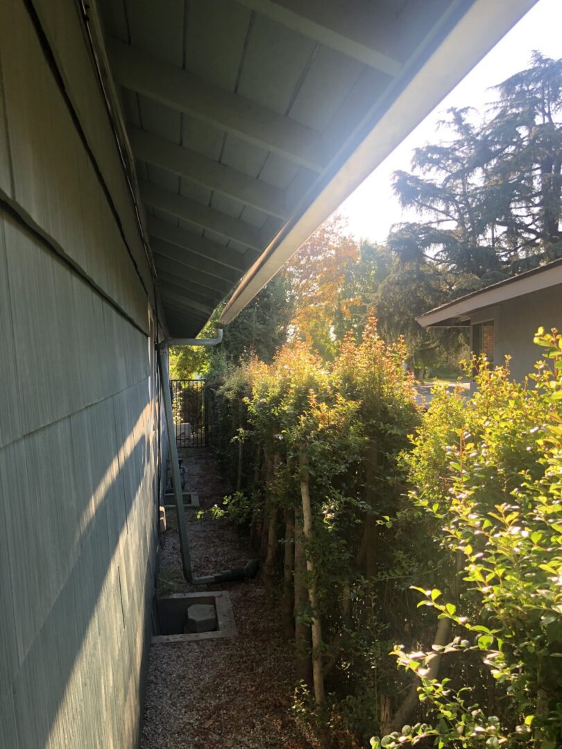 A view of the side of a house from outside.