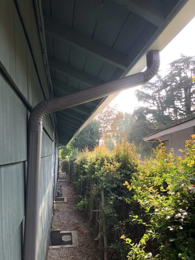 A view of bushes and trees from the side of a house.