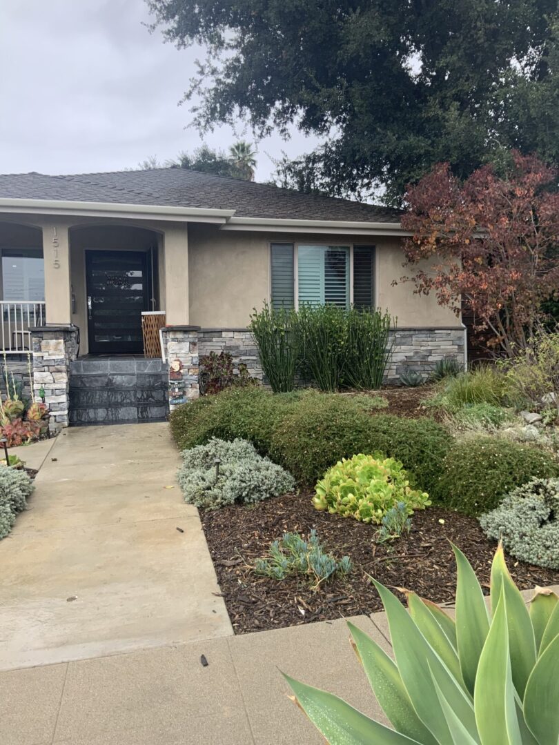 A house with a lot of plants in the yard