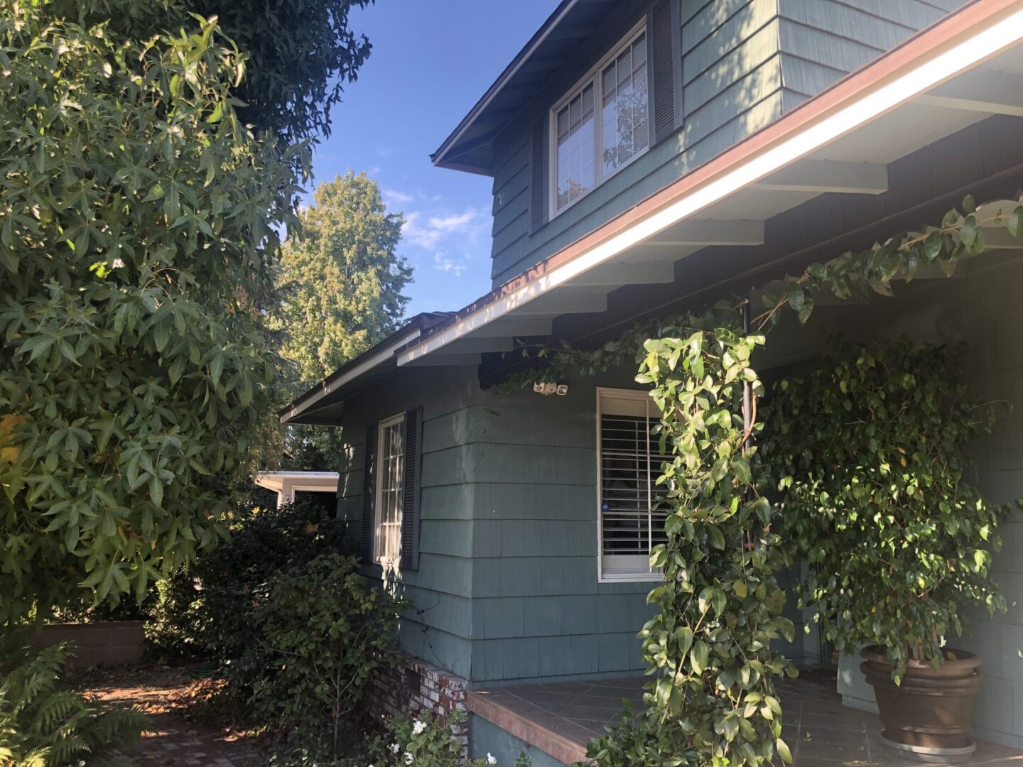 A house with green siding and bushes around it.